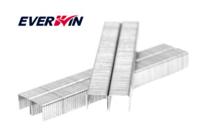 Everwin 10mm gegalvaniseerde tacker nieten 5000 stuks