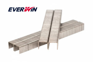 Everwin 10mm RVS tacker nieten 5000 stuks